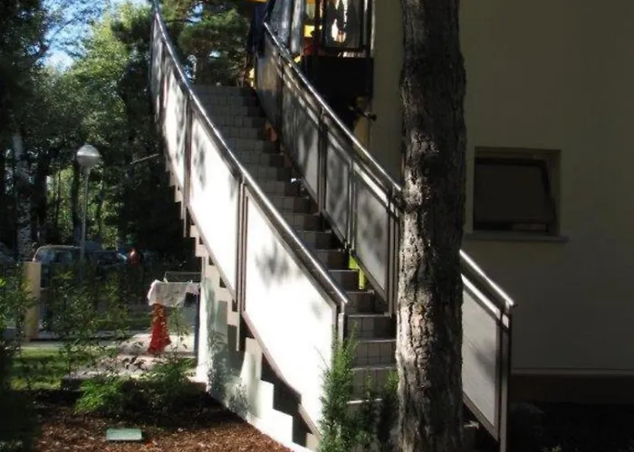 Norma ビビオーネ